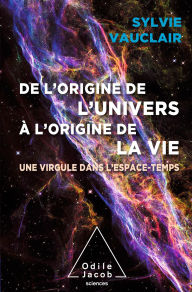 Title: De l'origine de l'Univers à l'origine de la vie: Une virgule dans l'espace-temps, Author: Sylvie Vauclair