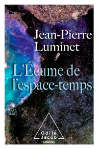 Title: L' Écume de l'espace-temps, Author: Jean-Pierre Luminet