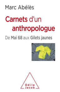 Title: Carnets d'un anthropologue: De Mai 68 aux Gilets jaunes, Author: Marc Abélès