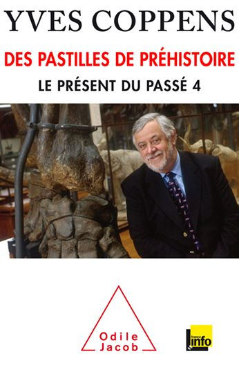 Des pastilles de préhistoire: Le présent du passé 4