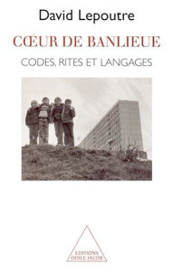 Title: Cour de banlieue: Codes, rites, et langages, Author: David Lepoutre