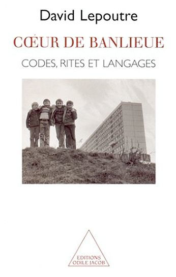 Cour de banlieue: Codes, rites, et langages