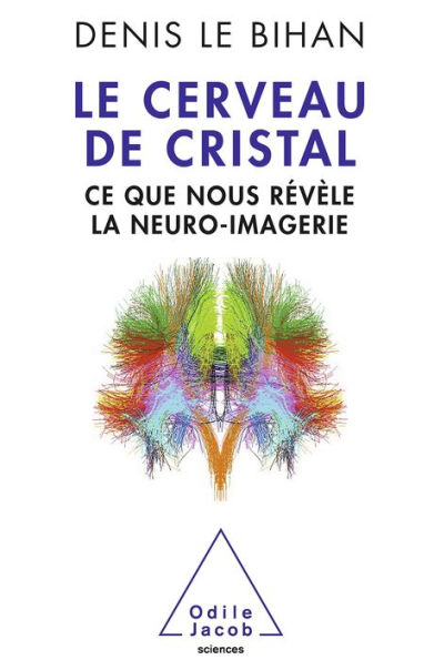 Le Cerveau de cristal: Ce que nous révèle la neuro-imagerie