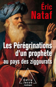 Title: Les Pérégrinations d'un prophète au pays des ziggourats, Author: Éric Nataf