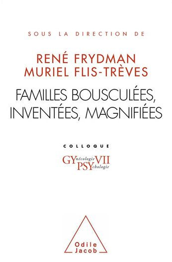 Familles bousculées, inventées, magnifiées: Gypsy VII