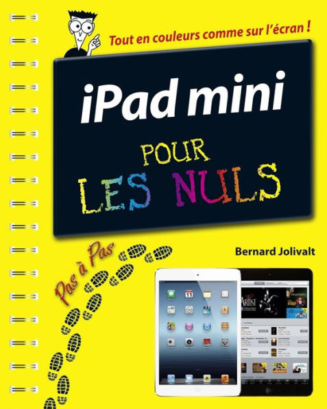 iPad Mini, Pas à pas Pour les Nuls