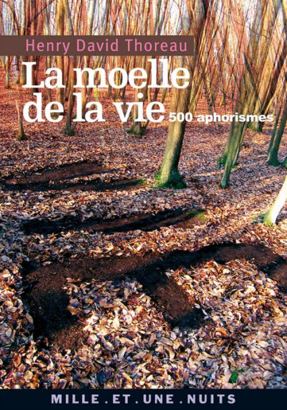 La Moelle de la vie: 500 Aphorismes