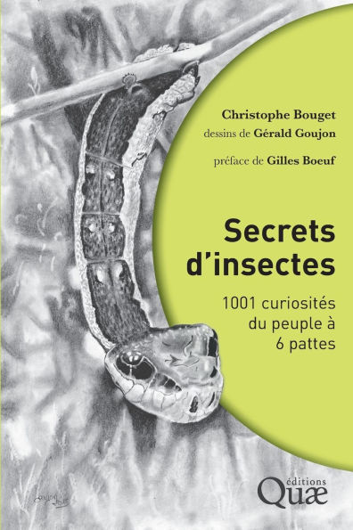 Secrets d'insectes: 1001 curiositï¿½s du peuple ï¿½ 6 pattes