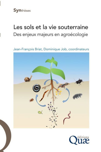 Les sols et la vie souterraine: Des enjeux majeurs en agroï¿½cologie