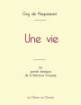 Une vie de Maupassant (ï¿½dition grand format)