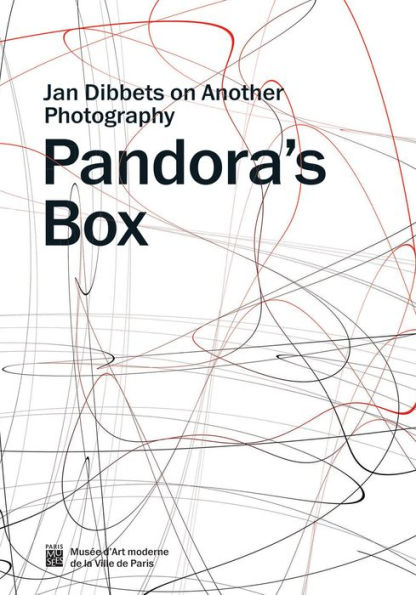 Pandora's Box: Jan Dibbets on Another Photography