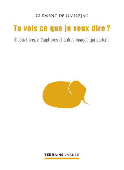 Tu vois ce que je veux dire ?: Illustrations, métaphores et autres images qui parlent