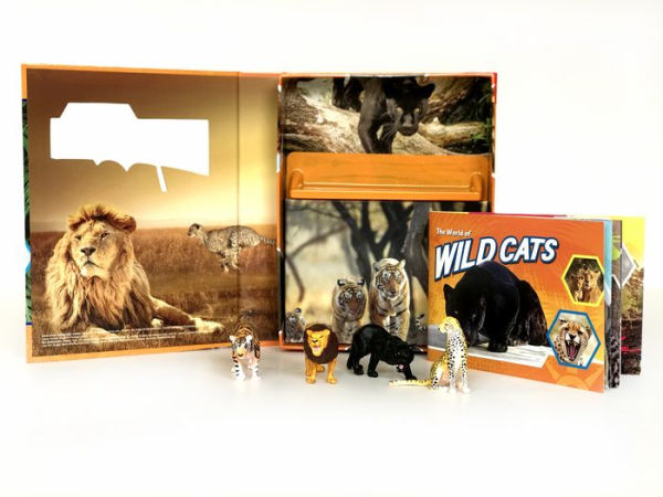 Wildcats Pocket Explorers