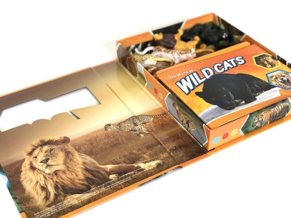 Wildcats Pocket Explorers