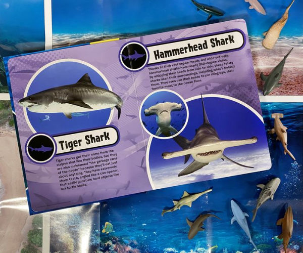 SHARKS MY BUSY BOOKS