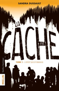 Title: La Cache - Tome 1: L'effet jus d'orange, Author: Sandra Dussault