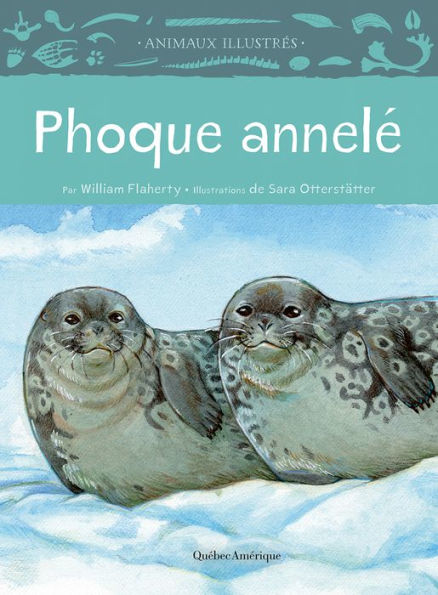 Phoque annele