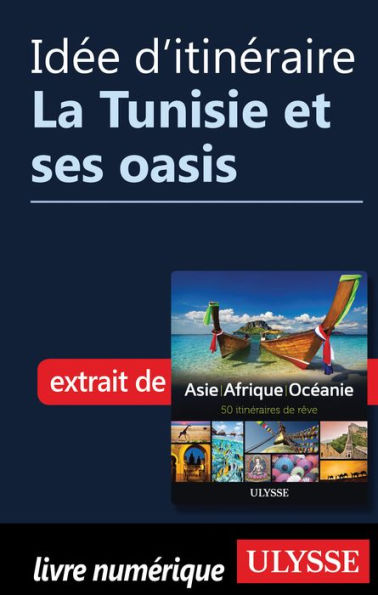 Idée d'itinéraire - La Tunisie et ses oasis