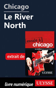 Title: Chicago - Le River North, Author: Claude Morneau