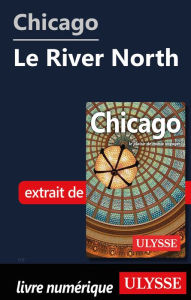 Title: Chicago - Le River North, Author: Claude Morneau