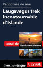 Randonnée de rêve- Laugavegur trek incontournable d'Islande