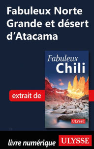 Title: Fabuleux Norte Grande et désert d'Atacama (Chili), Author: Ouvrage Collectif