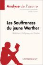 Les Souffrances du jeune Werther de Goethe (Analyse de l'ouvre): Analyse complète et résumé détaillé de l'oeuvre