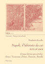 Napoli, il labirinto dal quale non si esce: Cinque letture geocritiche: Serao, Yourcenar, Ortese, Ferrante, Parrella