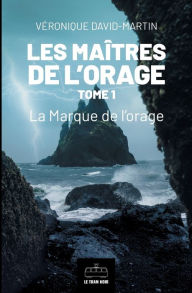 Title: Les Maitres de l'orage - Tome 1: La marque de l'orage, Author: Vïronique David-Martin