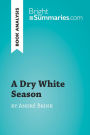 A Dry White Season by André Brink (Book Analysis): Detailed Summary, Analysis and Reading Guide
