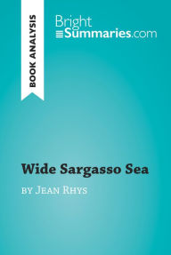 Title: Wide Sargasso Sea by Jean Rhys (Book Analysis): Detailed Summary, Analysis and Reading Guide, Author: Bright Summaries