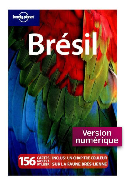 Brésil 7