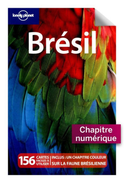 Brésil - Amazonie