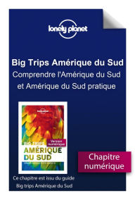 Title: Big Trips Amérique du Sud- Comprendre l'Amérique du Sud et Amérique du Sud pratique, Author: LONELY PLANET