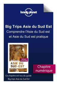 Title: Big Trips Asie du Sud-Est - Comprendre l'Asie du Sud est et Asie du Sud est pratique, Author: LONELY PLANET