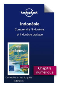 Title: Indonésie - Comprendre l'Indonésie et Indonésie pratique, Author: Lonely planet eng