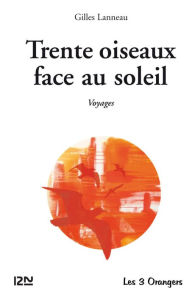 Title: Trente oiseaux face au soleil, Author: Gilles Lanneau