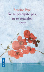 Title: Ne te précipite pas, tu te retardes, Author: Antoine Paje