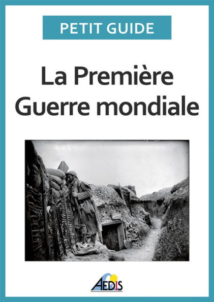 La Première Guerre mondiale: Un guide pratique sur l'histoire de France au temps de la Grande Guerre