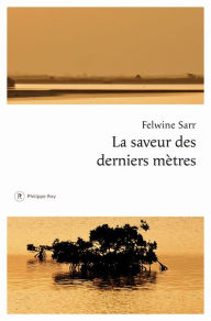 Title: La saveur des derniers mètres, Author: Felwine Sarr