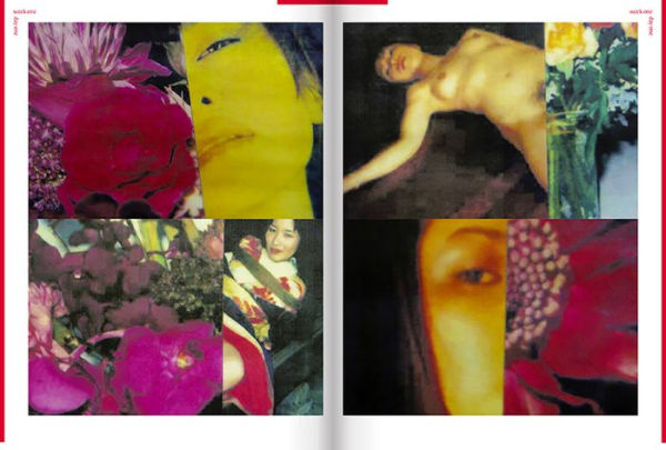 Nobuyoshi Araki, Hi-Nikki (Non-Diary Diary)