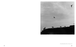 Alternative view 9 of Graciela Iturbide: Heliotropo 37