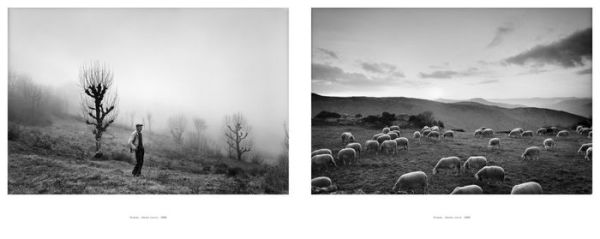 Raymond Depardon: Rural