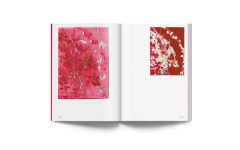 Alternative view 11 of Luiz Zerbini: Botanica: Monotypes 2016-2020