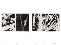 Alternative view 2 of Luiz Zerbini: Botanica: Monotypes 2016-2020
