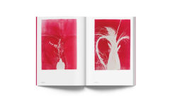 Alternative view 7 of Luiz Zerbini: Botanica: Monotypes 2016-2020