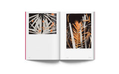 Alternative view 8 of Luiz Zerbini: Botanica: Monotypes 2016-2020