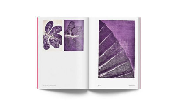 Luiz Zerbini: Botanica: Monotypes 2016-2020