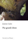 Pas grand-chose: Roman