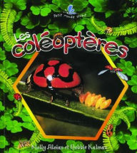 Title: Les Coleopteres (The Life Cycle of a Beetle), Author: John Crossingham